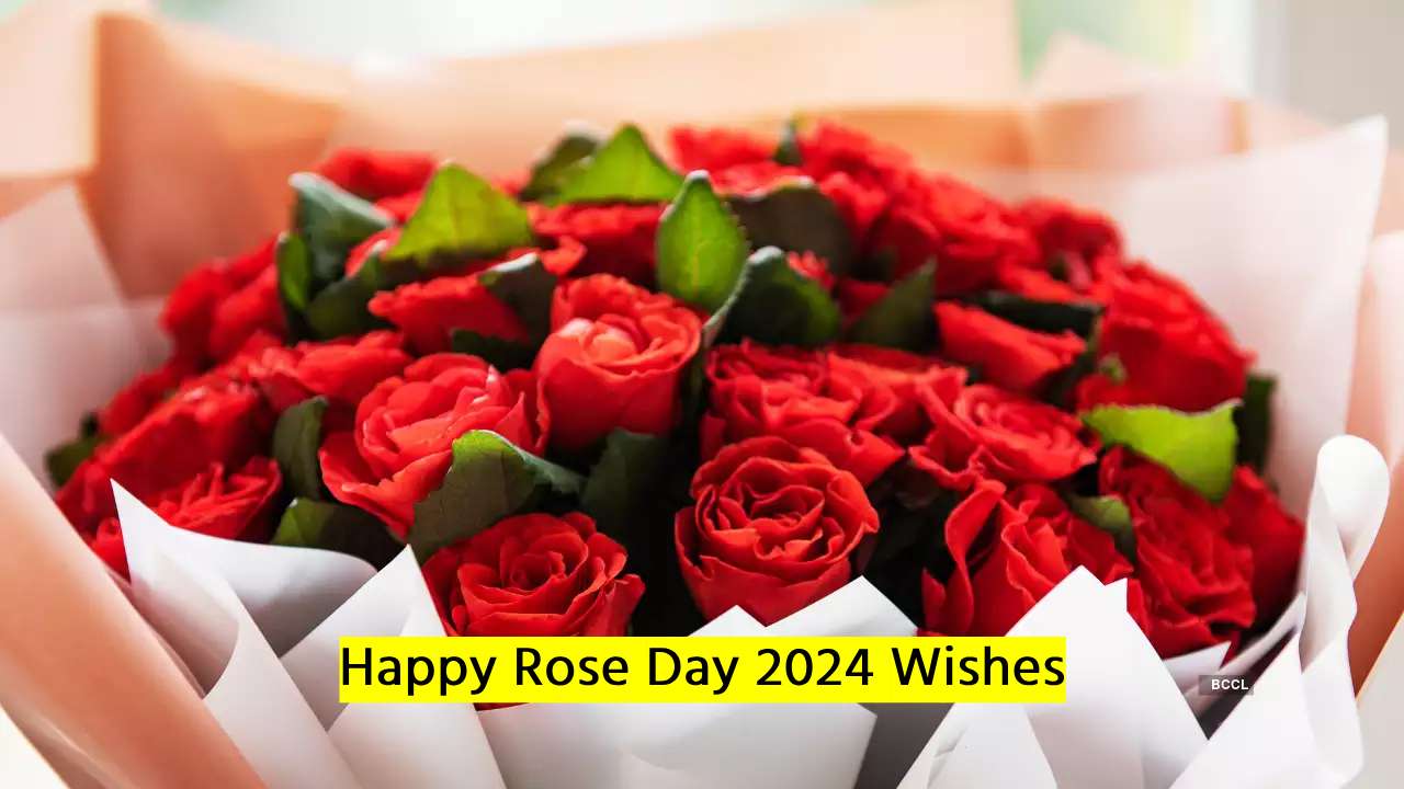 Happy Rose Day 2024 Wishes   Happy Rose Day 2024 Wishes 