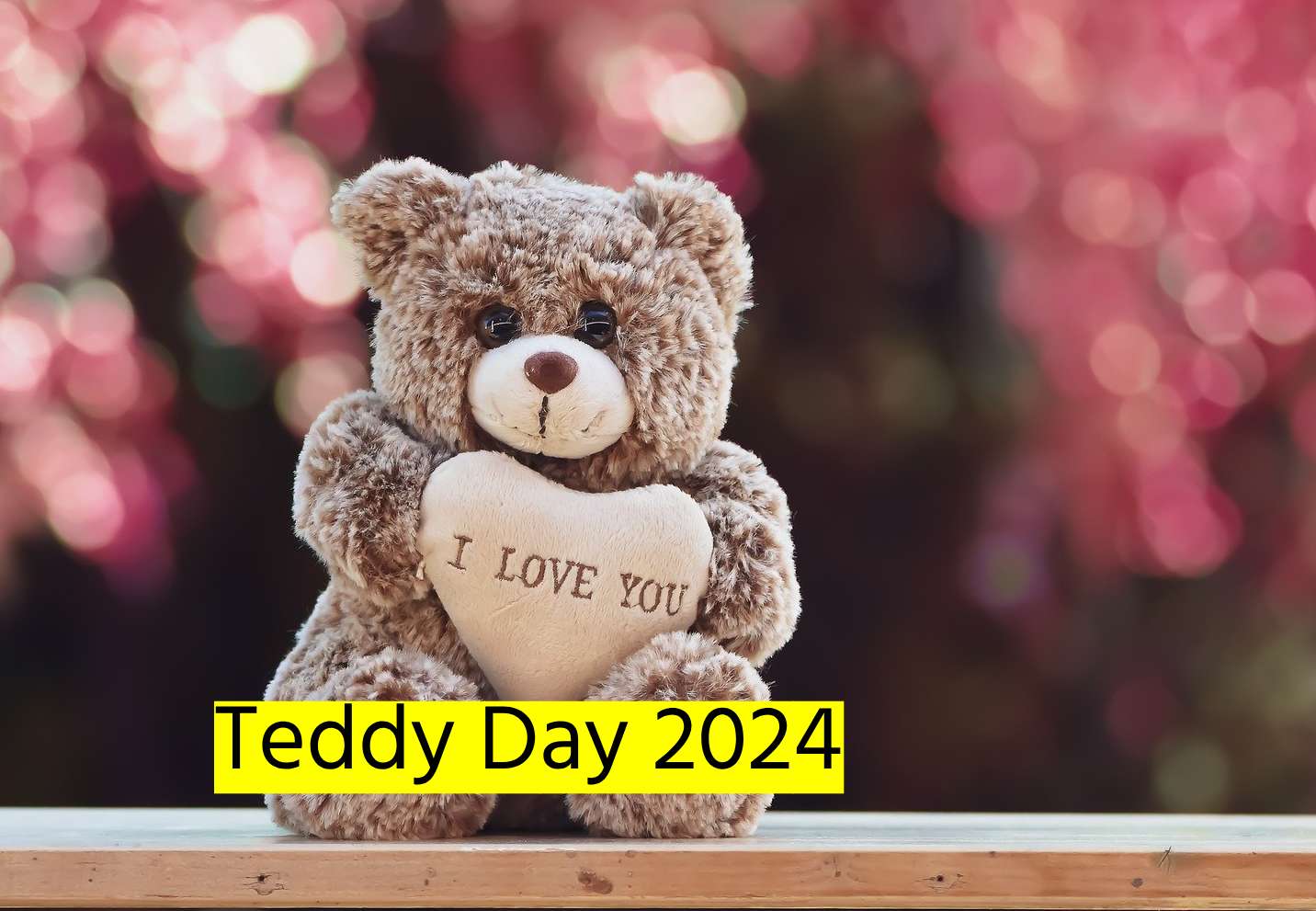 Teddy Day 2024